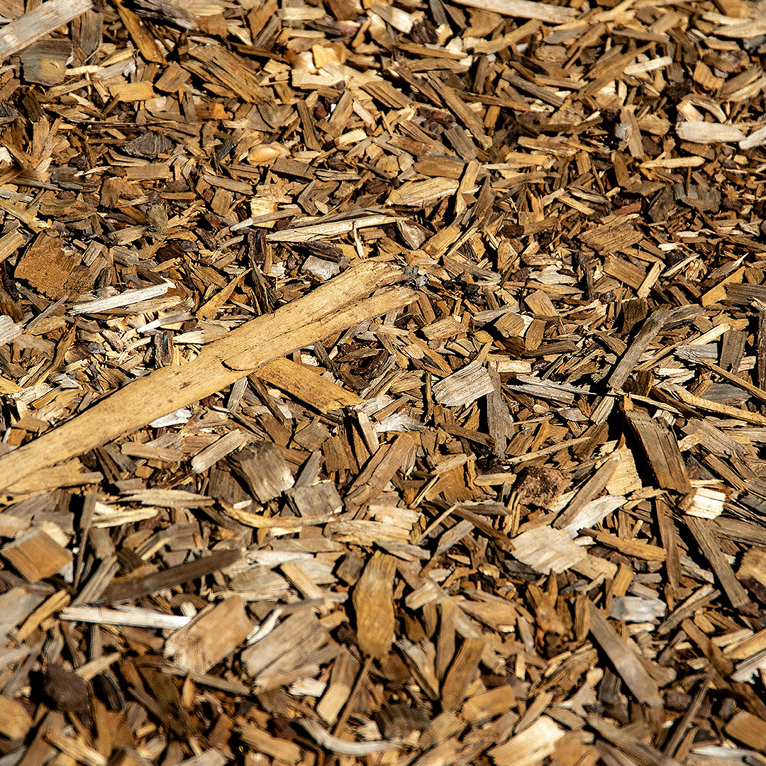 Everything You Need to Know About Mulch